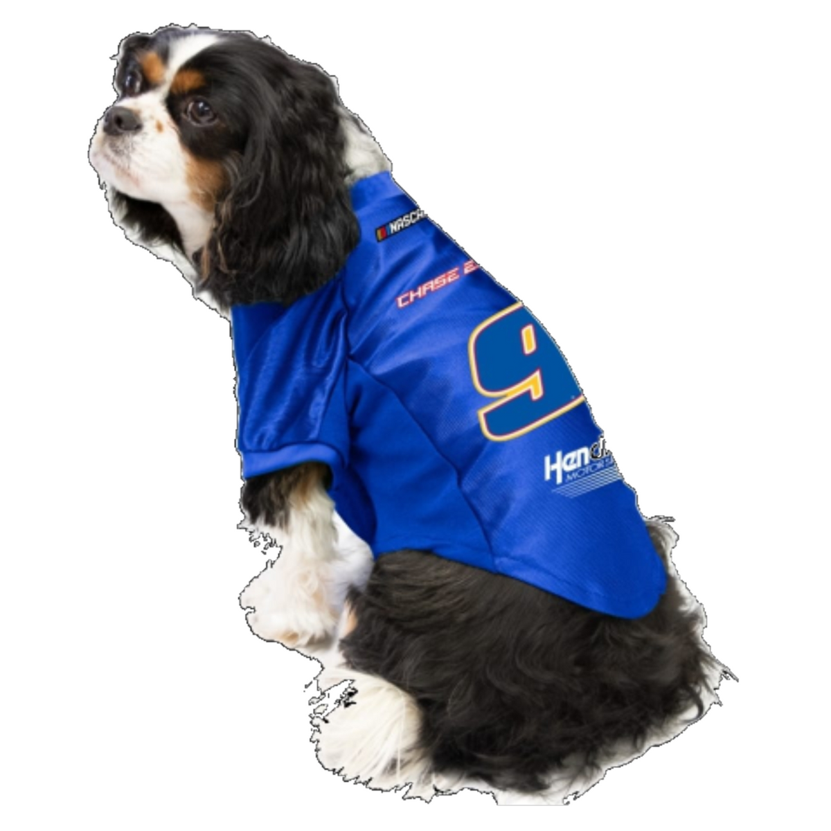 Nascar dog apparel sale