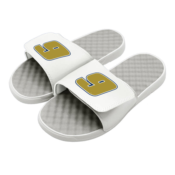 Chase Elliott 9 Gold Outline Slides