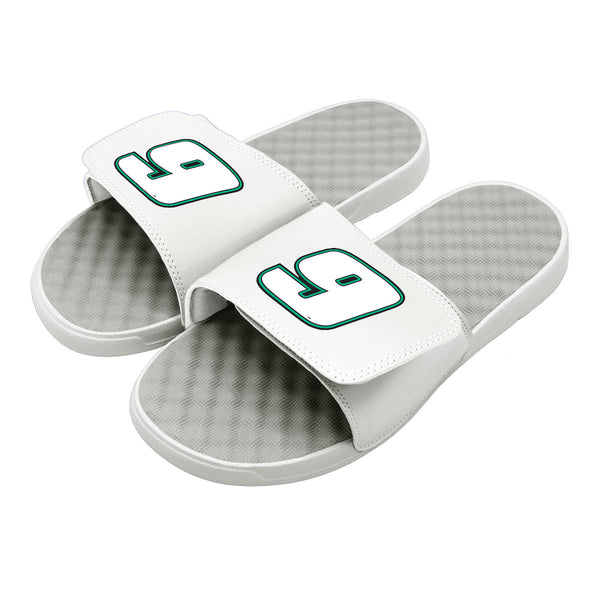 Chase Elliott 9 Green Outline Slides
