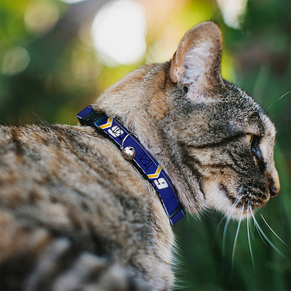 Breakaway Cat Collar with Bell - Chase Elliott #9 Car Scheme Blue/Yellow/White