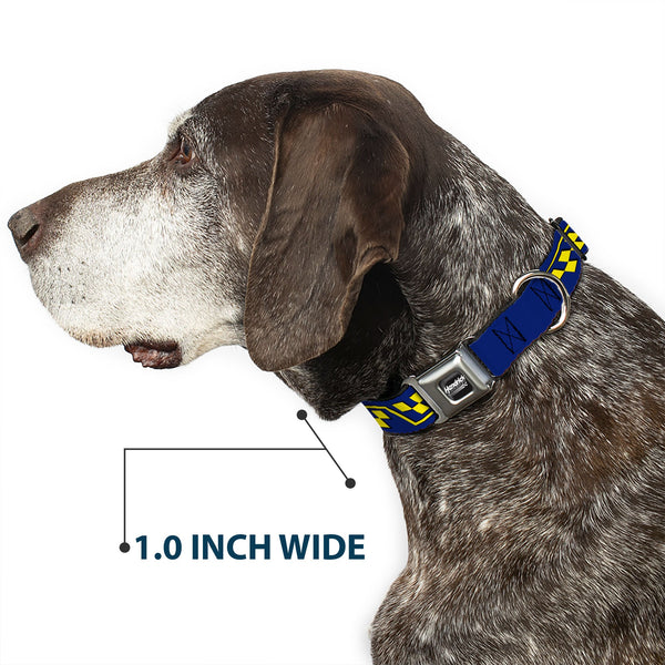 HENDRICK MOTORSPORTS Checker Logo Full Color Black/White Seatbelt Buckle Collar - Jimmie Johnson #48 Autograph Checker Blue/Yellow