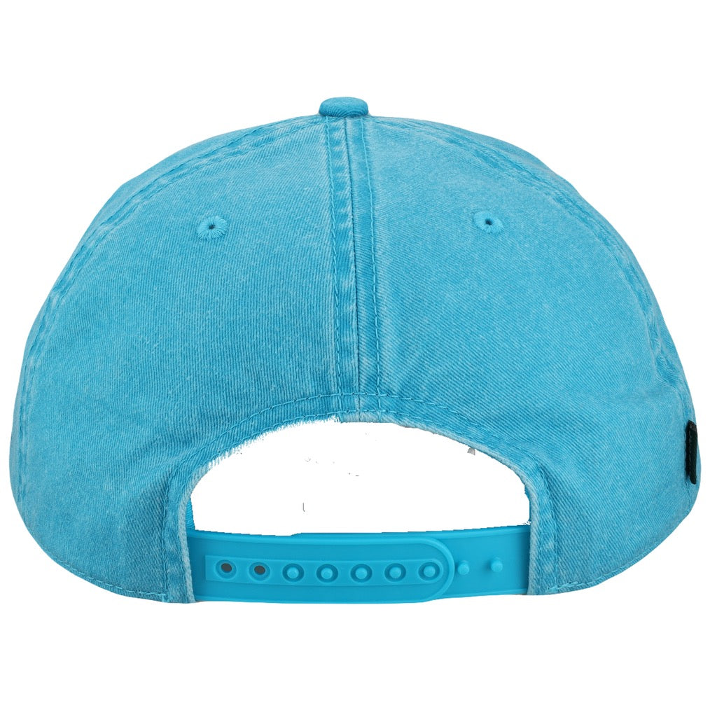 AQUA BLUE SKULLY SNAPBACK – Chase Elliott Store