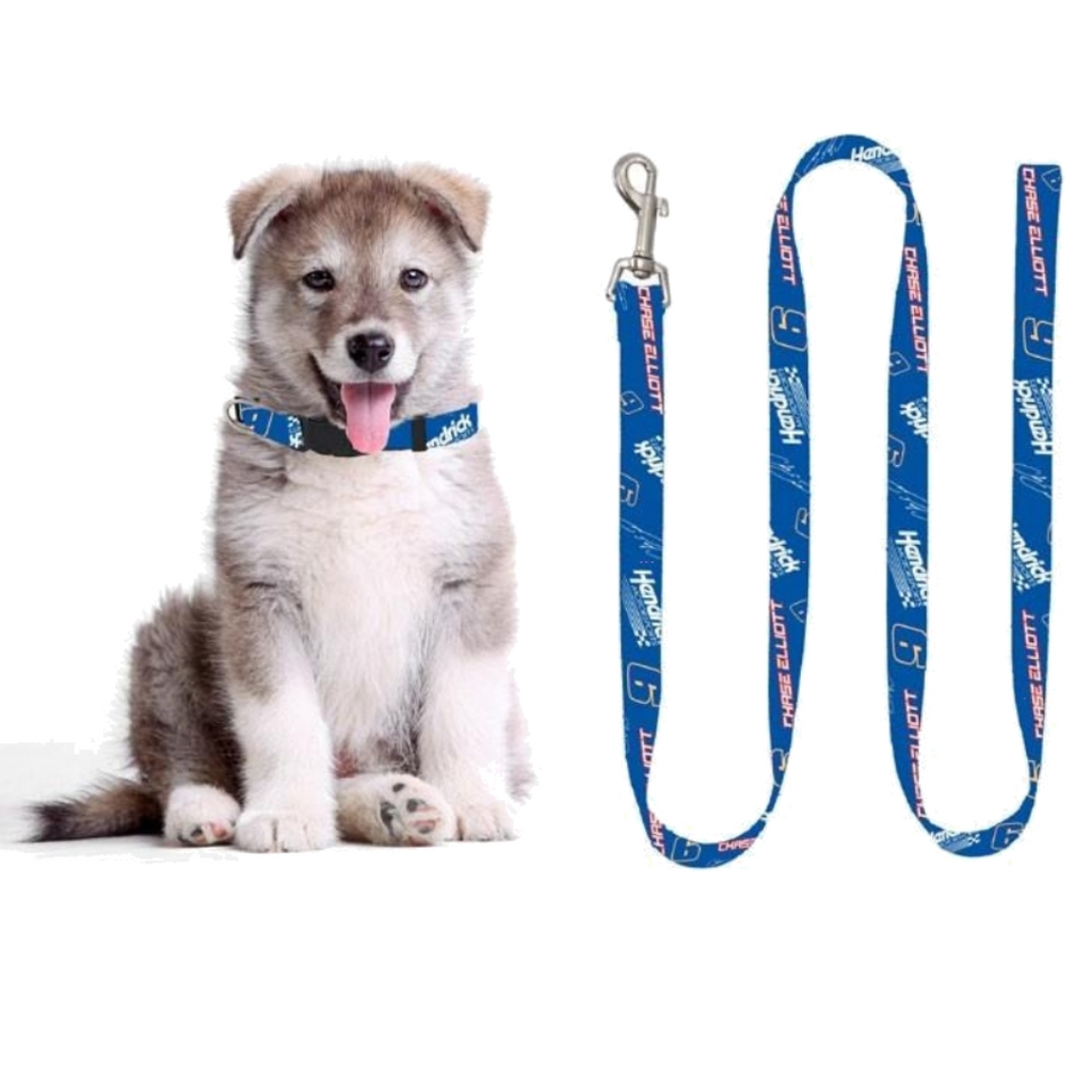 Collar & leash pet shop hotsell